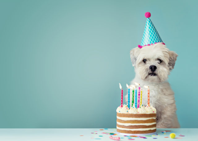 birthday party