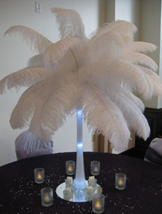 ostrich feather centerpieces