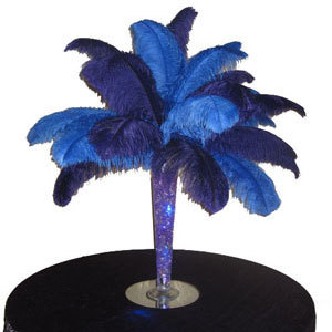 Ostrich Feather Centerpiece