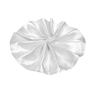 Satin Cloth Napkins